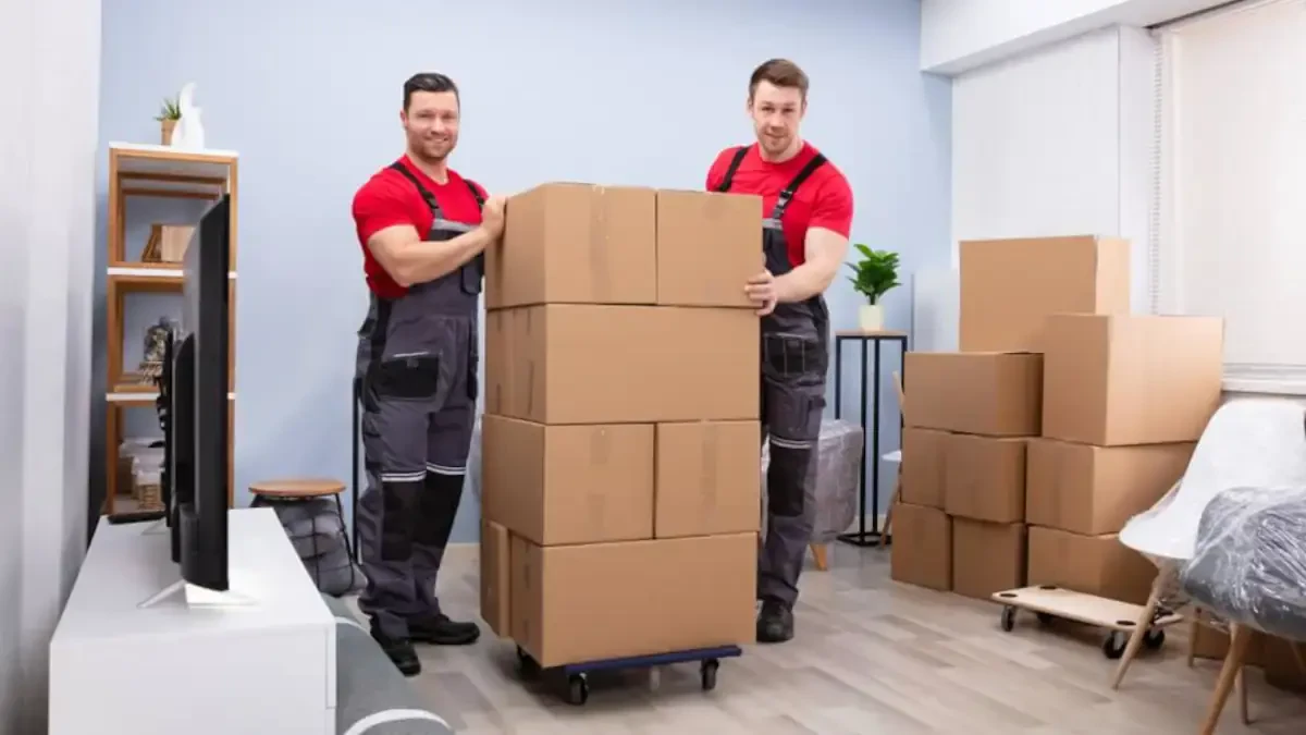 Best Adams County Movers Near Me – Premium Adams County, WI Moving Companies