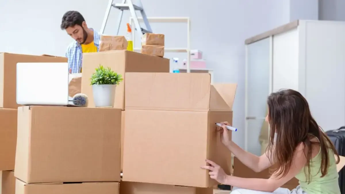 Best Afton Town Movers Near Me – Premium Afton Town, NY Moving Companies