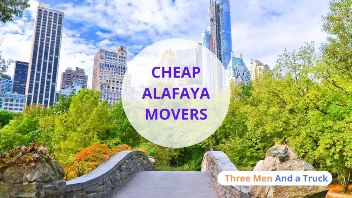 Best Alafaya Movers Near Me – Premium Alafaya, FL Moving Companies