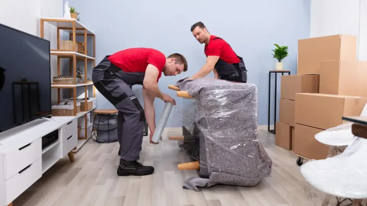 Best Albany County Movers Near Me – Premium Albany County, NY Moving Companies