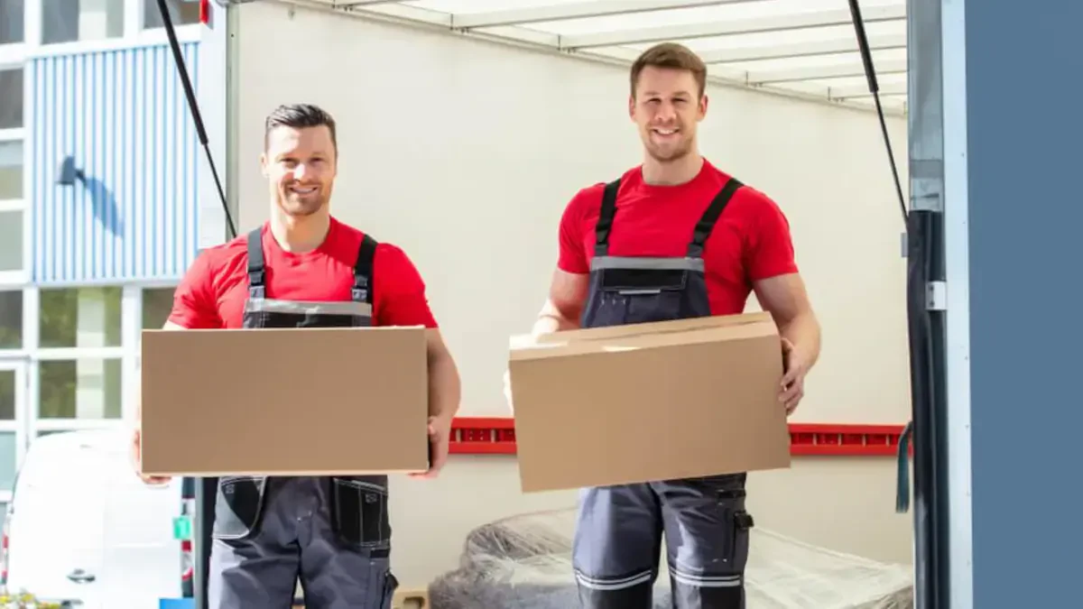 Best Albany County Movers Near Me – Premium Albany County, WY Moving Companies