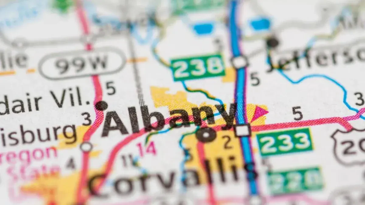 Albany Full Service Movers Near Me