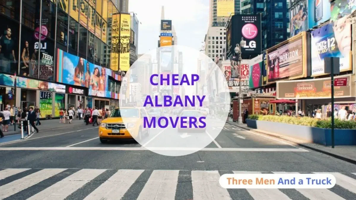 Best Albany Movers Near Me Premium Moving Companies