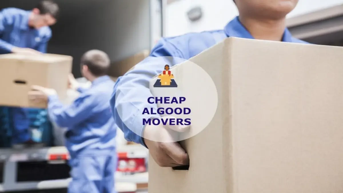 Best Algood Movers Near Me – Premium Algood, TN Moving Companies