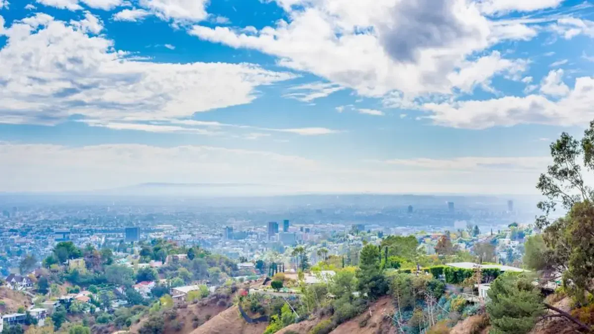 Best American Canyon Movers Near Me – Premium American Canyon, CA Moving Companies