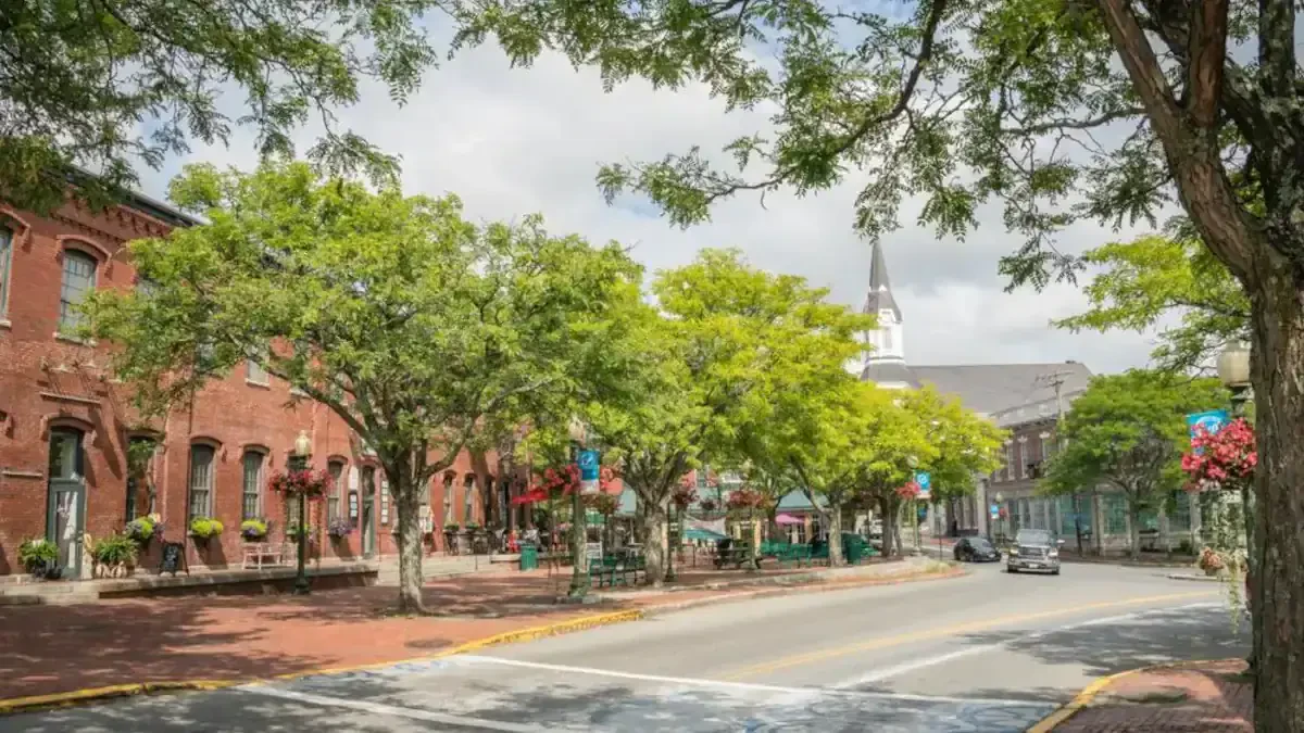 Best Amesbury Town Movers Near Me – Premium Amesbury Town, MA Moving Companies