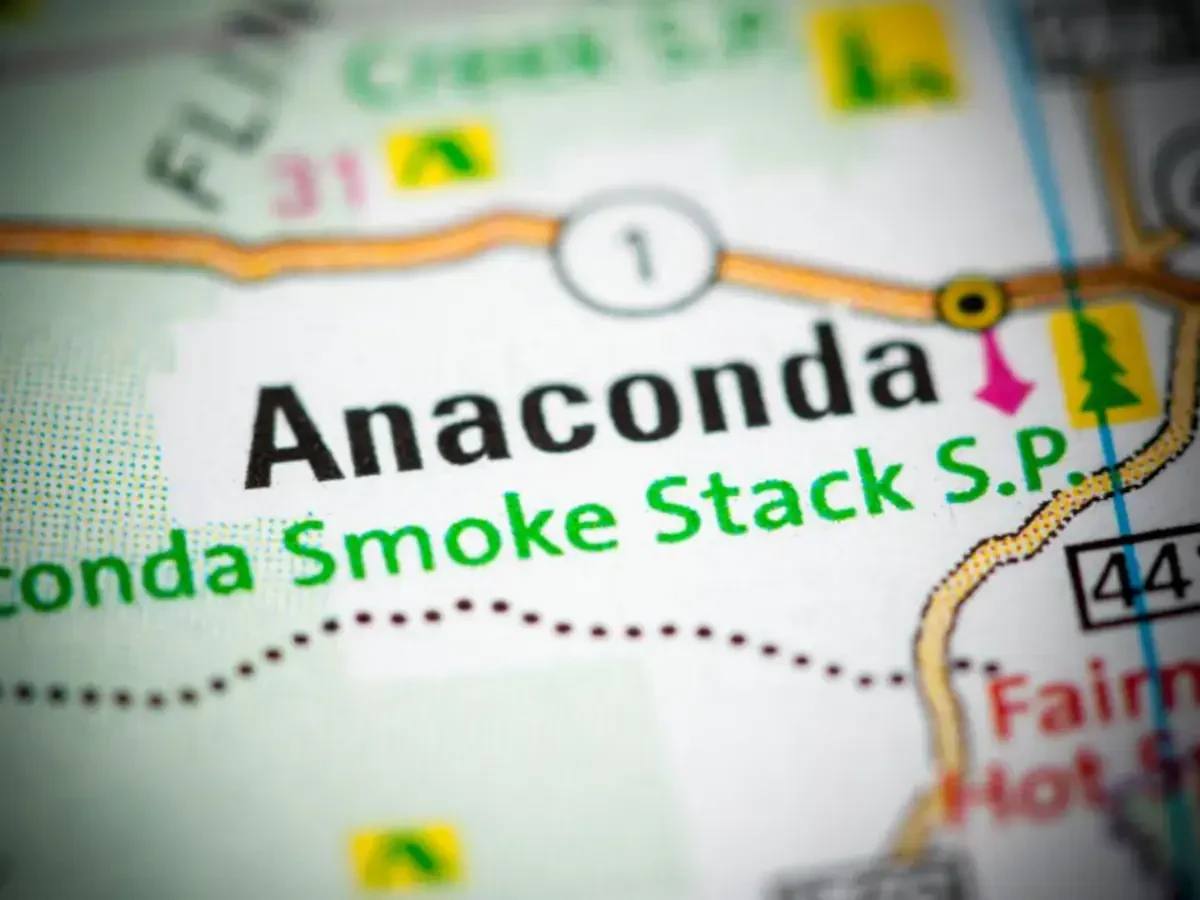 International Moving Company Anaconda