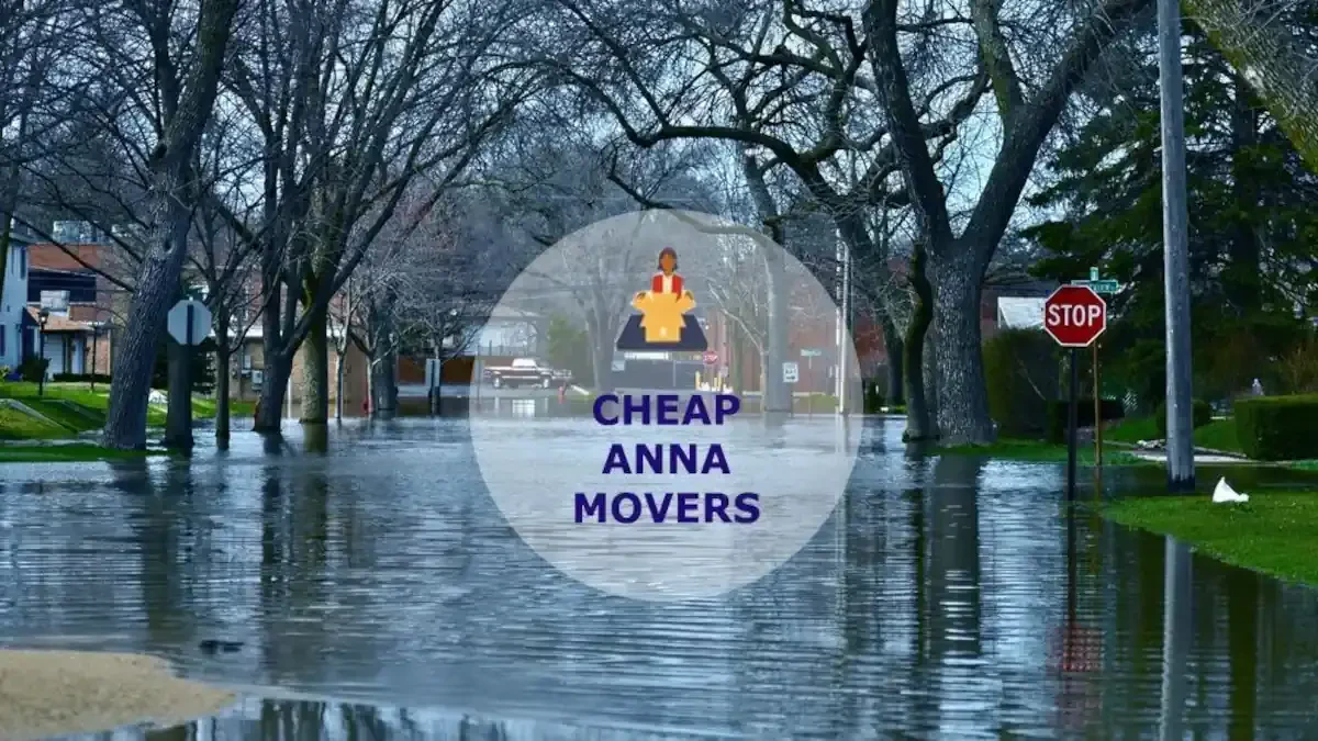 Best Anna Movers Near Me – Premium Anna, IL Moving Companies