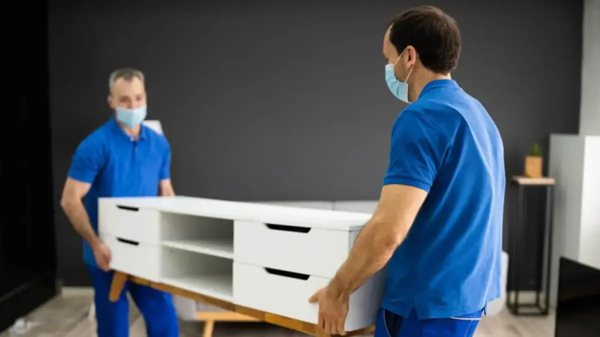 Best Anne Arundel County Movers Near Me – Premium Anne Arundel County, MD Moving Companies