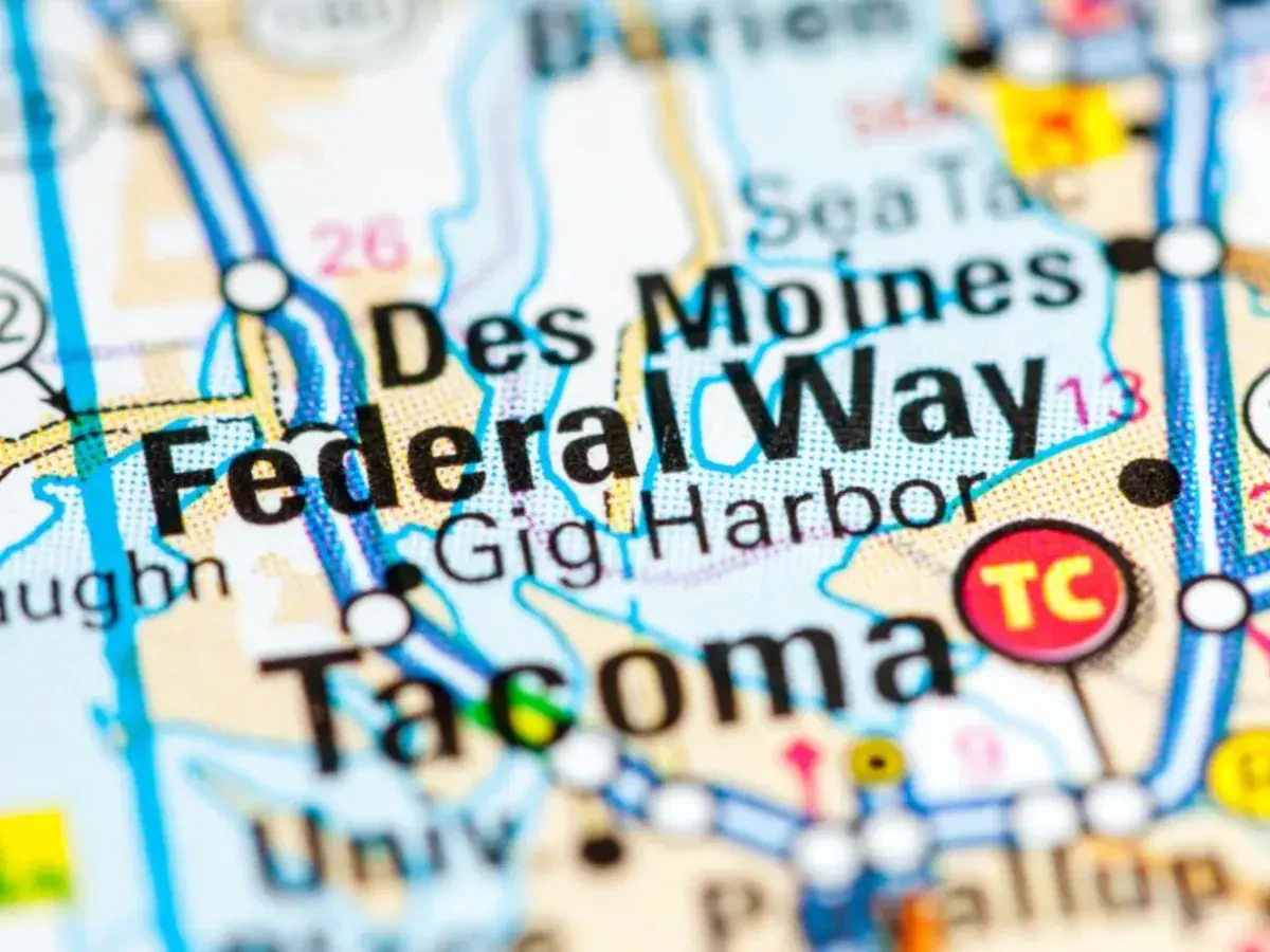 Federal Way Apartment Movers Near Me