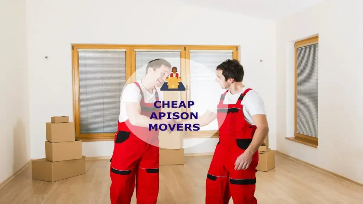 Best Apison Movers Near Me – Premium Apison, TN Moving Companies