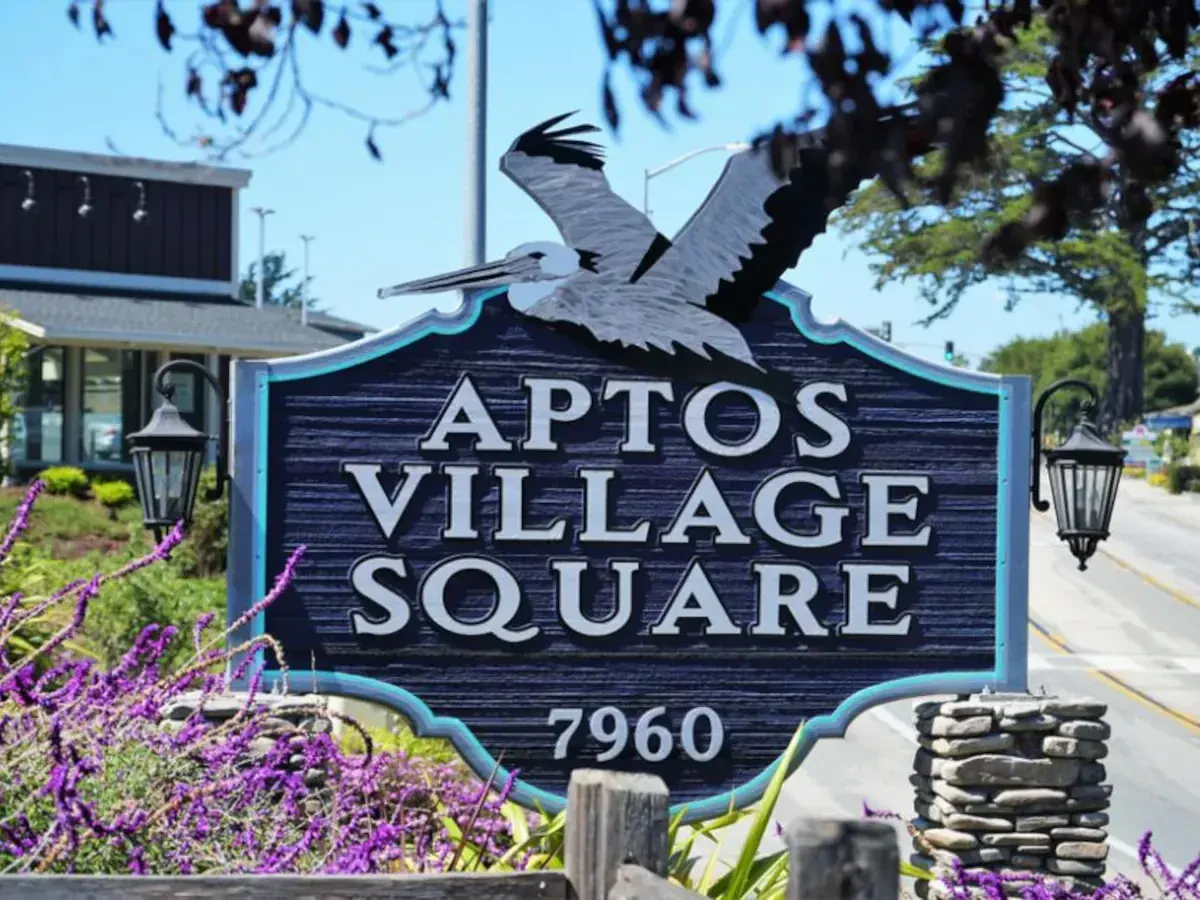 International Moving Company Aptos