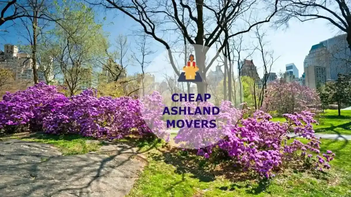 Best Ashland Movers Near Me Premium Moving Companies