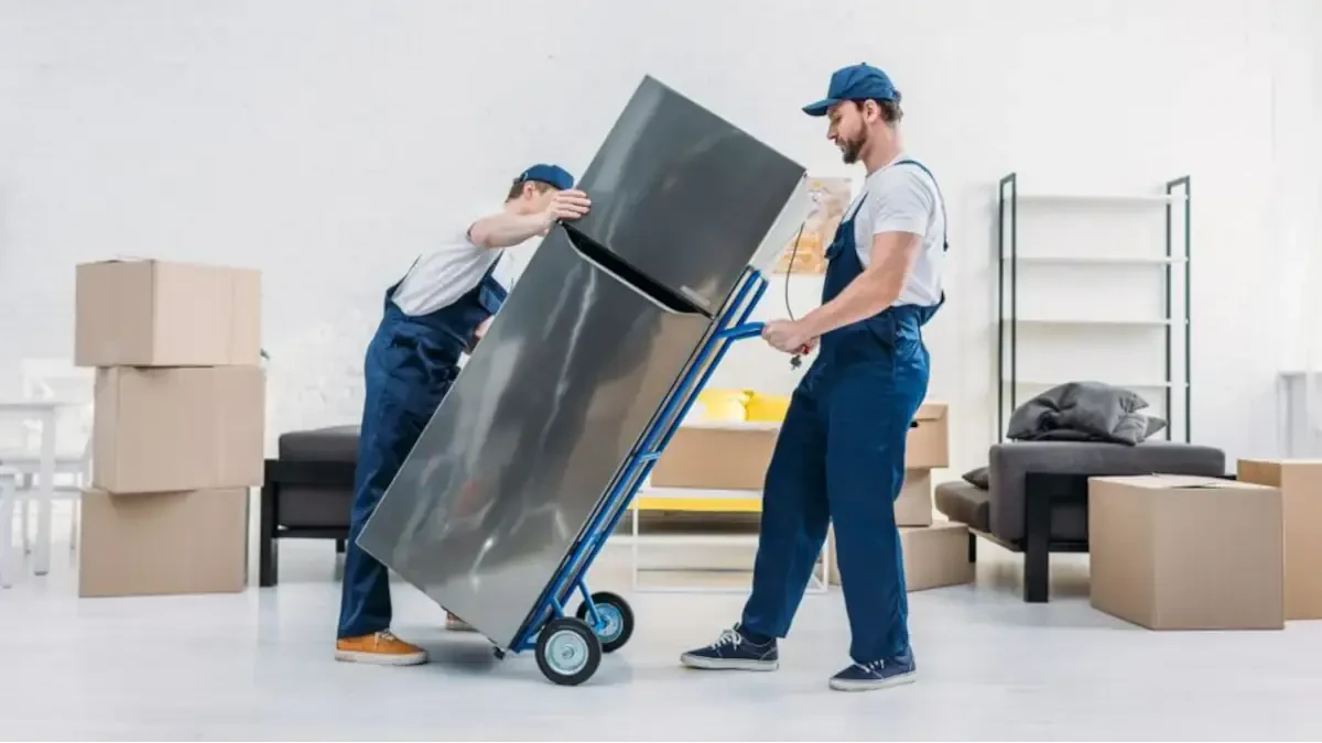 Best Au Sable Movers Near Me – Premium Au Sable, NY Moving Companies