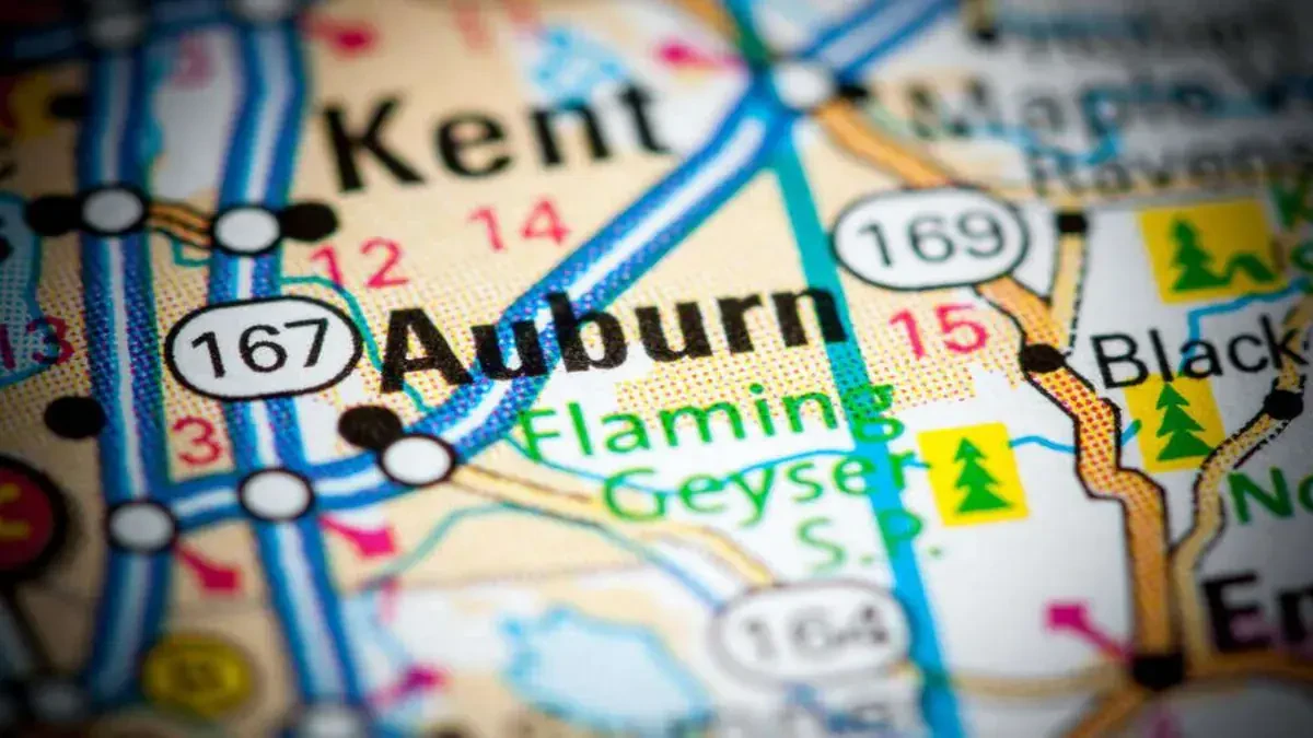 Best Auburn Office Movers Near Me – Premium Moving Companies