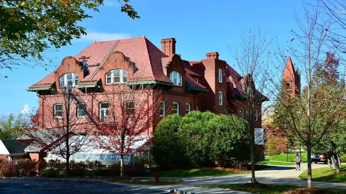 Best Aurora Town Movers Near Me – Premium Aurora Town, NY Moving Companies