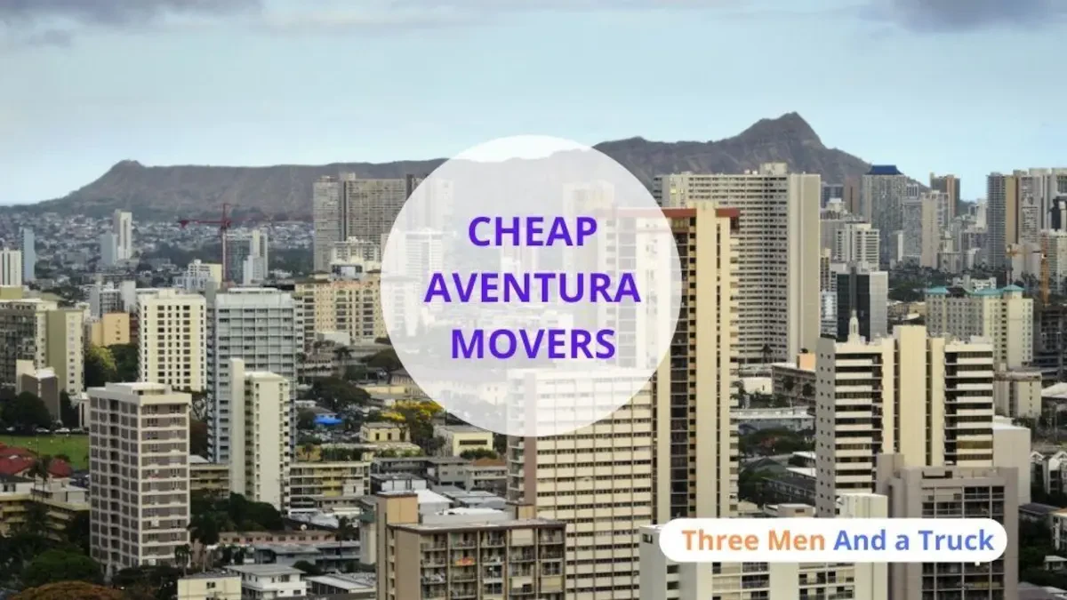 Best Aventura Movers Near Me With Premium Moving Companies