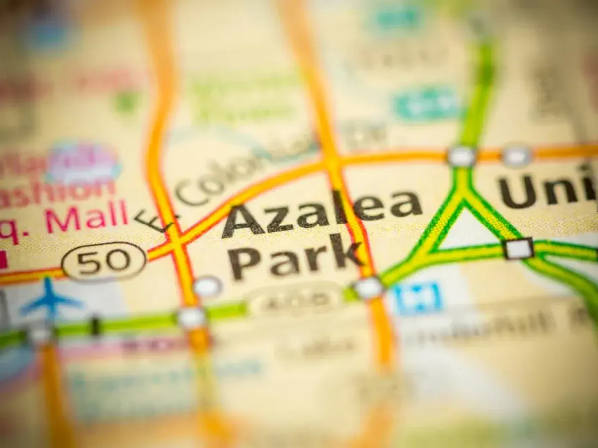 Best Azalea Park Movers Near Me – Premium Azalea Park, FL Moving Companies