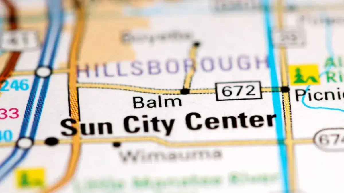 Best Balm Movers Near Me – Premium Balm, FL Moving Companies