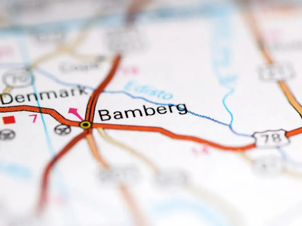 Best Bamberg Movers Near Me – Premium Bamberg, SC Moving Companies