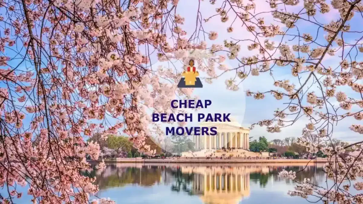 Best Beach Park Movers Near Me and Premium Moving Companies