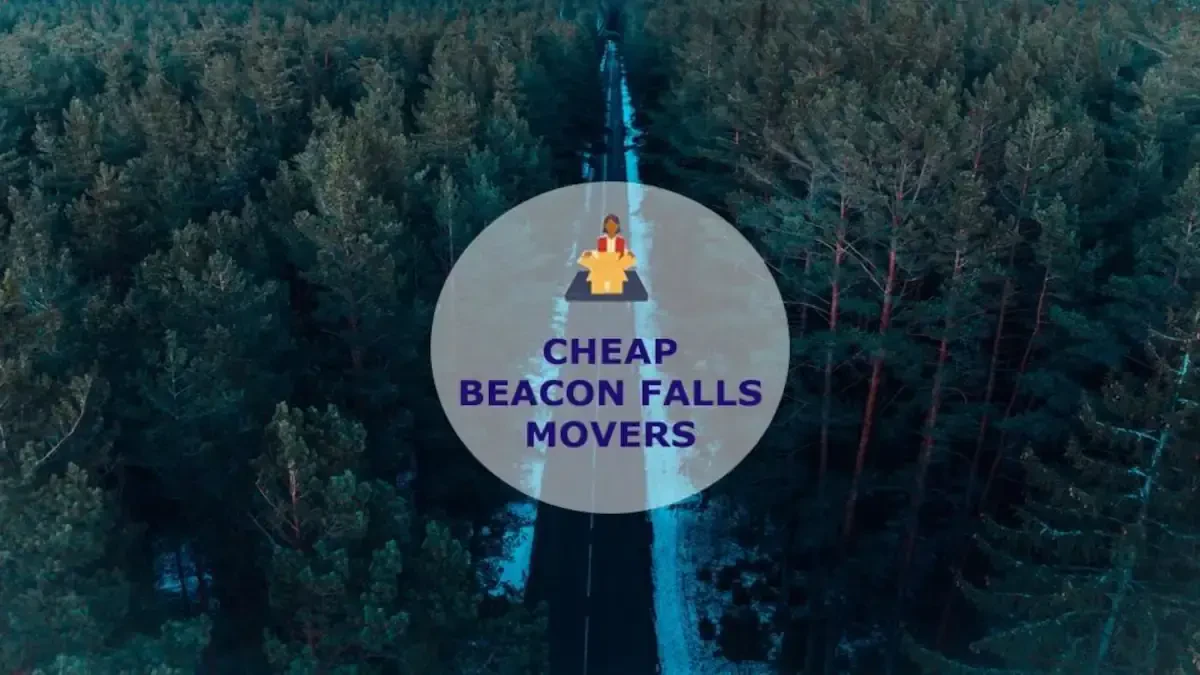 Best Beacon Falls Movers Near Me – Premium Beacon Falls, CT Moving Companies