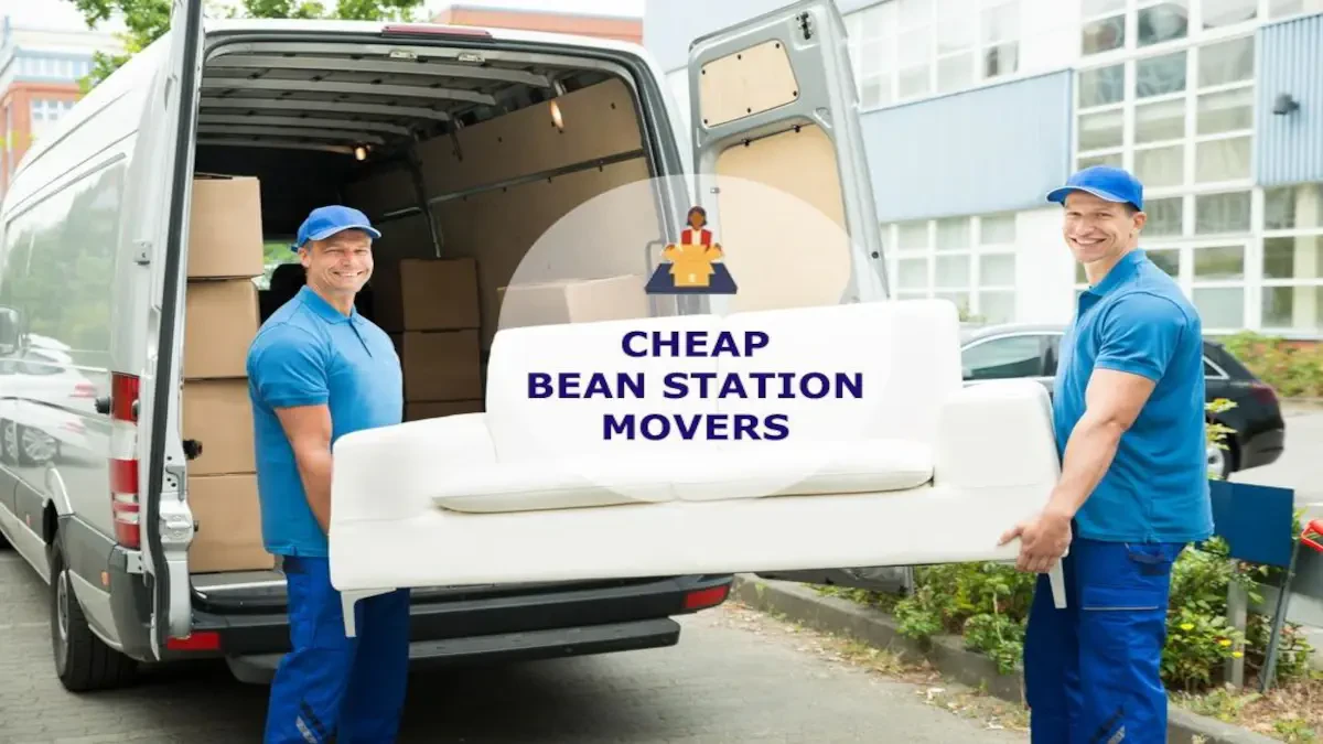 Best Bean Station Movers Near Me – Premium Bean Station, TN Moving Companies