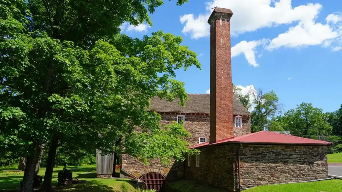 Best Bedminster Movers Near Me – Premium Bedminster, PA Moving Companies