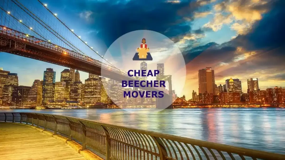 Best Beecher Movers Near Me – Premium Beecher, IL Moving Companies