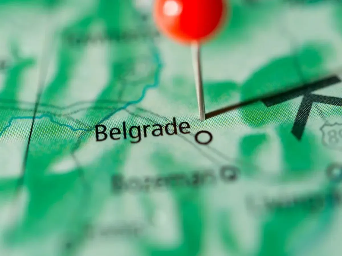 Best Belgrade Movers Near Me Premium Moving Companies