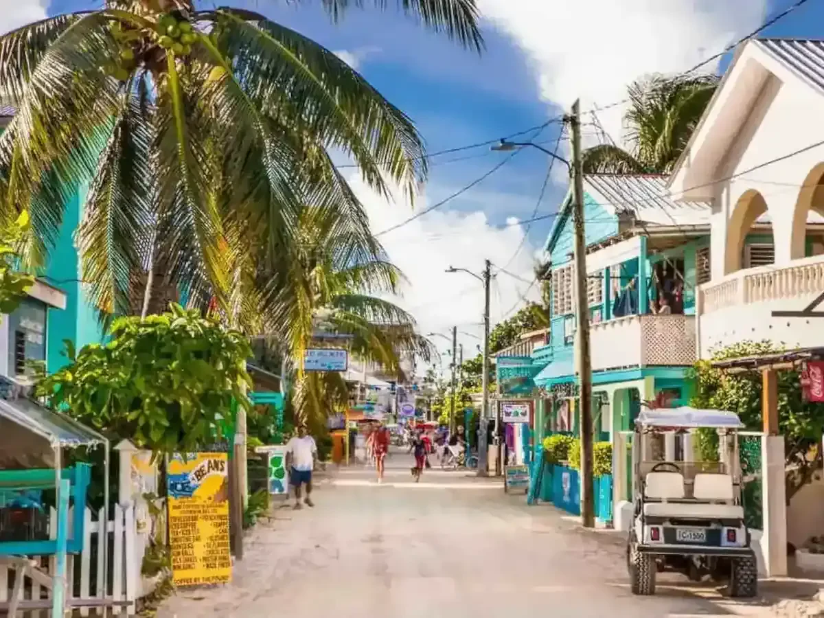 Average Cost Of Belize International Movers Calculator