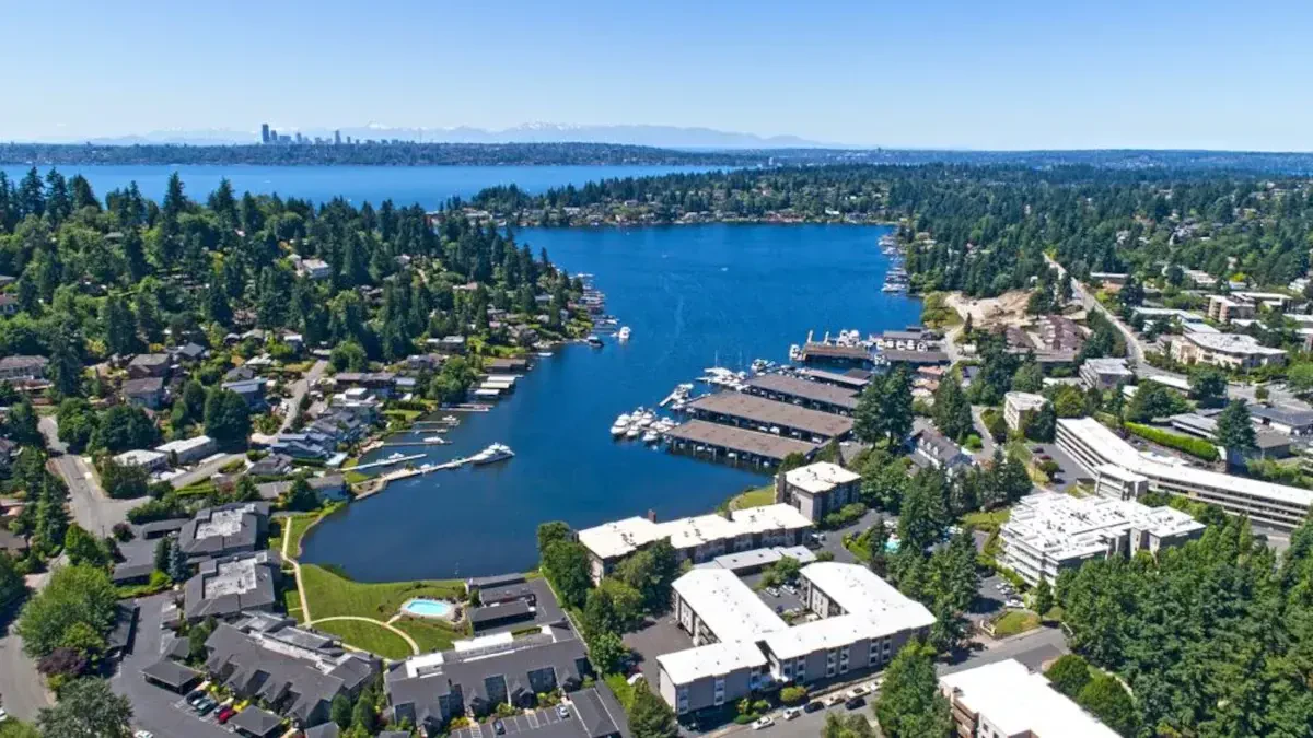 Bellevue Full Service Movers Near Me