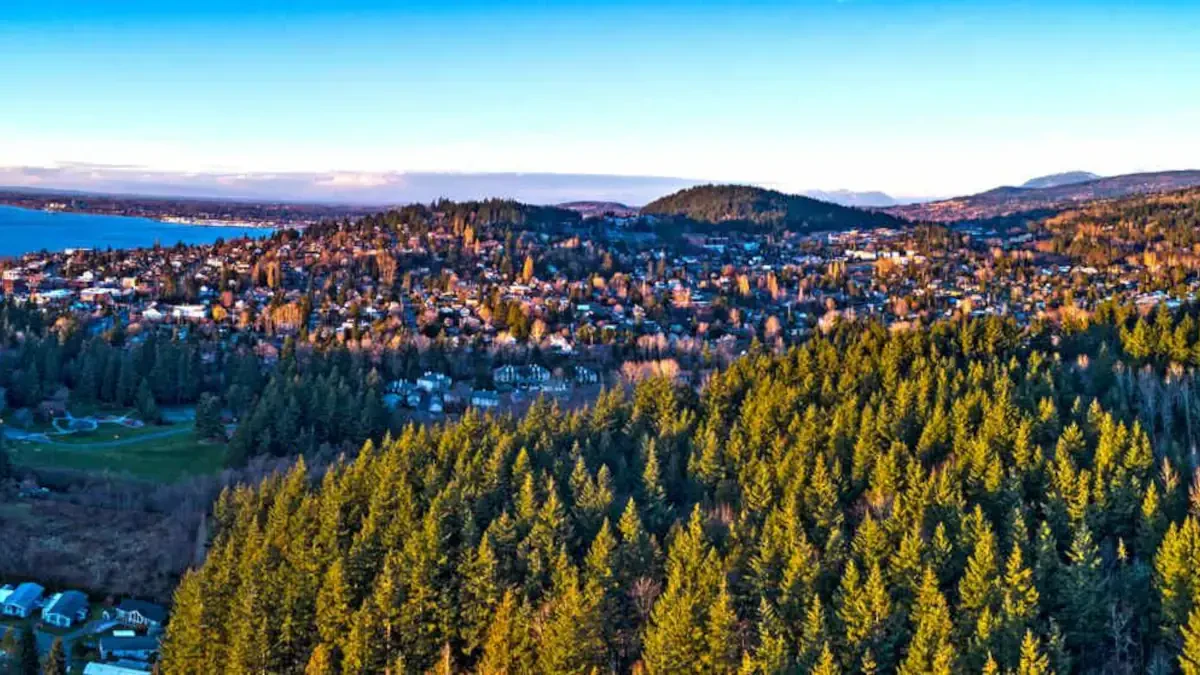 Bellingham Full Service Movers Near Me