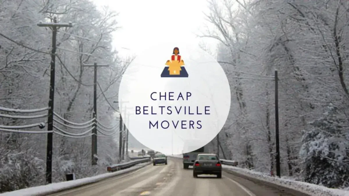 Best Beltsville Movers Near Me – Premium Beltsville, MD Moving Companies
