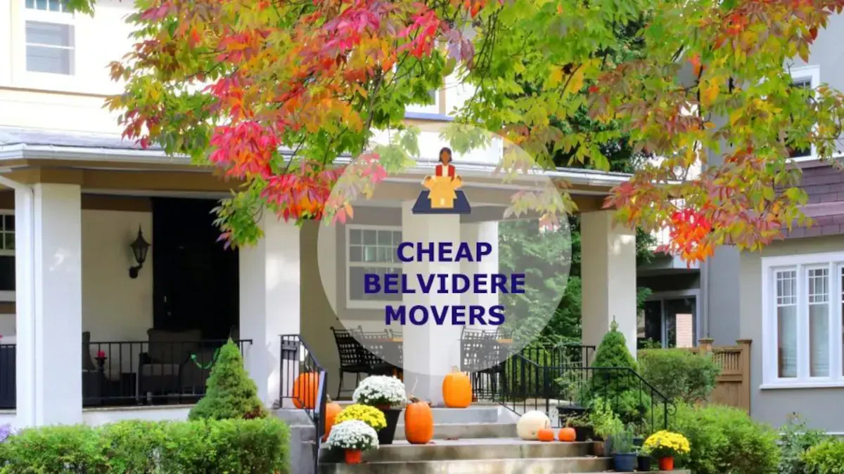 Best Belvidere Movers Near Me – Premium Belvidere, IL Moving Companies