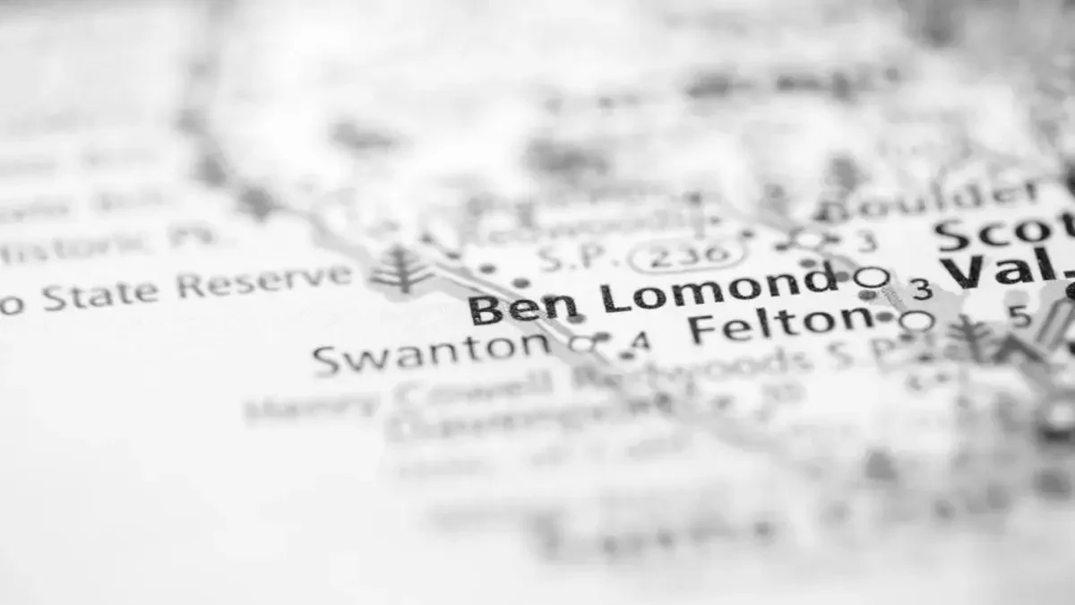 Ben Lomond Movers | Local Experts for Stress-Free Relocations in the Santa Cruz Mountains