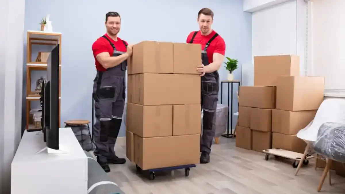 Bentonville to Pine Bluff Movers Near Me Top Moving Companies