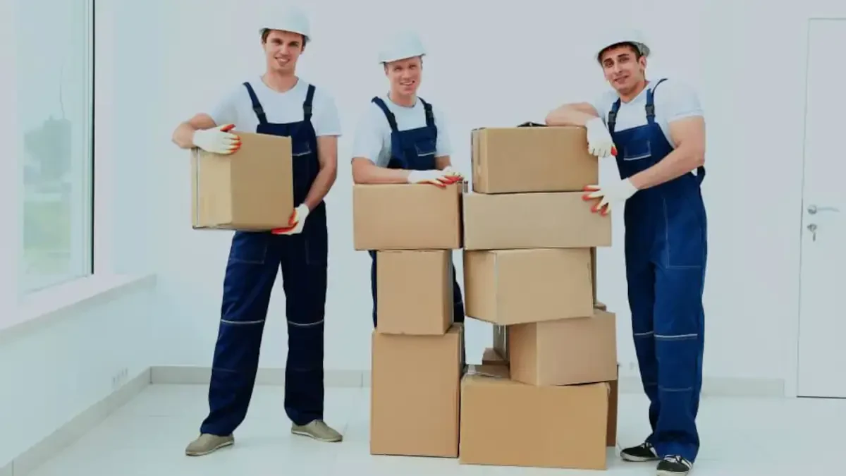 Best Berne Movers Near Me – Premium Berne, NY Moving Companies