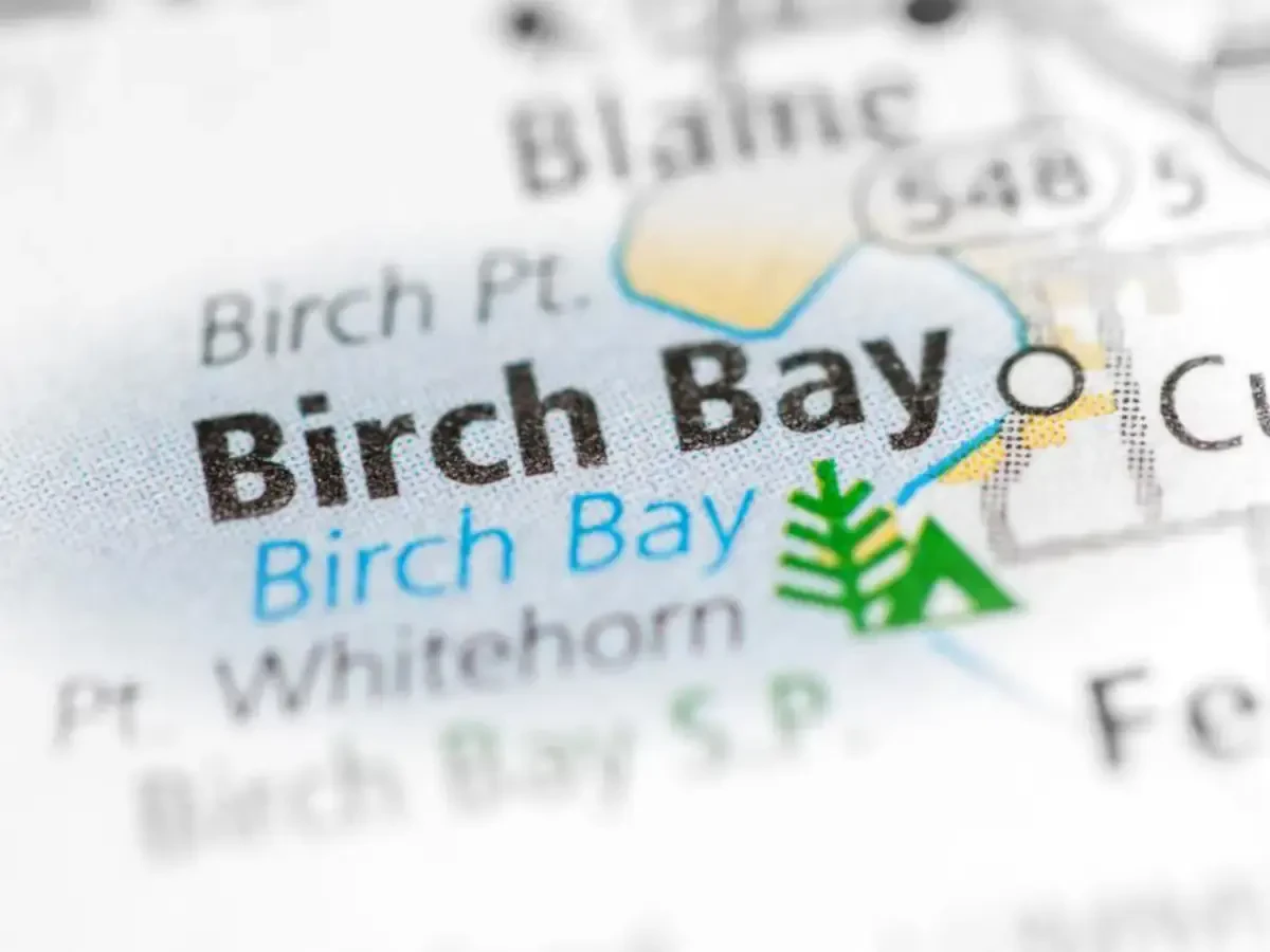 Best Birch Bay Movers Near Me – Premium Birch Bay, WA Moving Companies