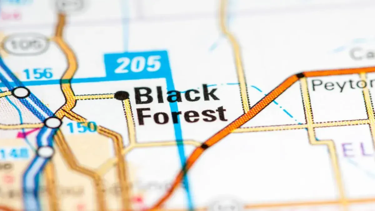 Best Black Forest Movers Near Me – Premium Black Forest, CO Moving Companies