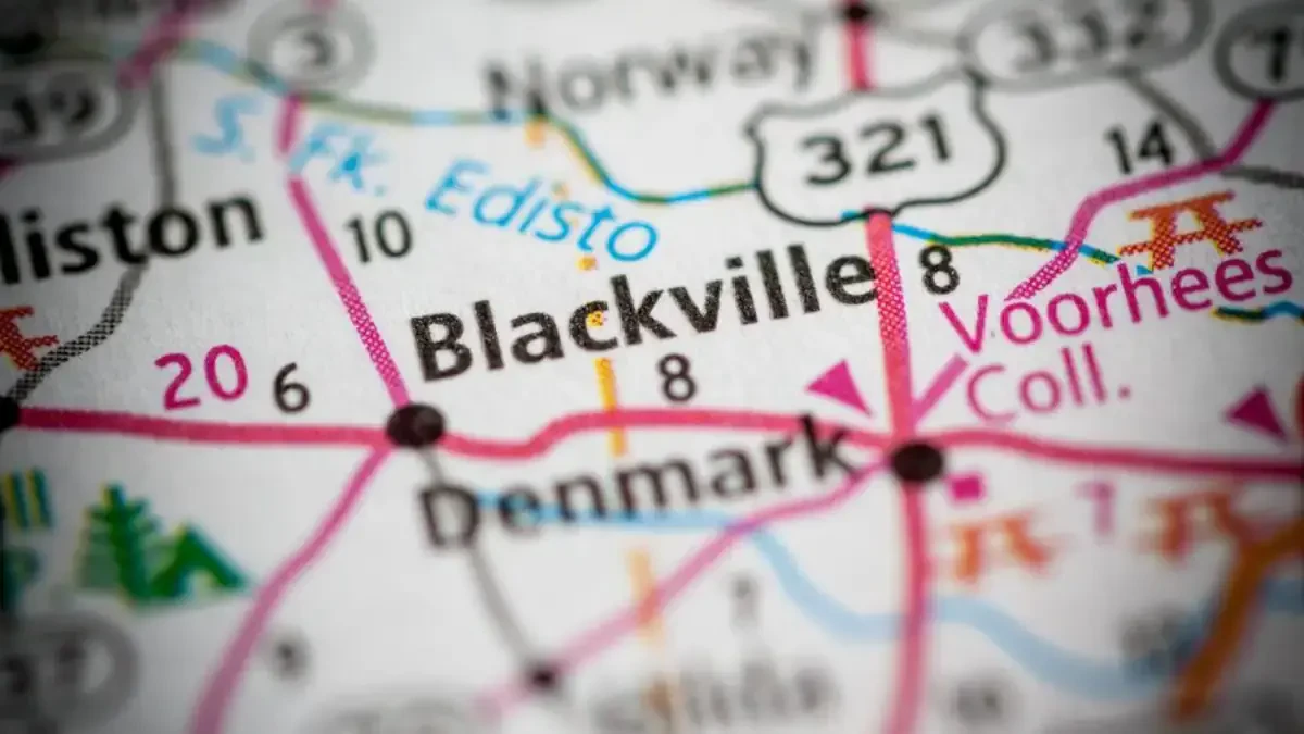 Best Blackville Movers Near Me – Premium Blackville, SC Moving Companies