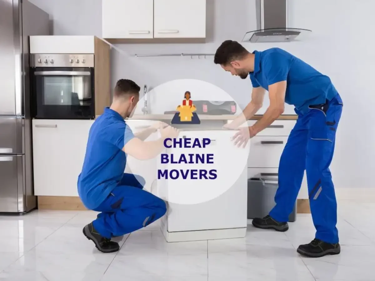 Best Blaine Movers Near Me – Premium Moving Companies