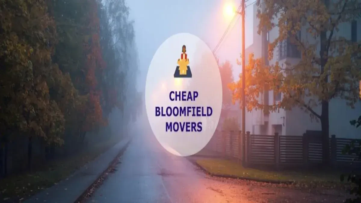 Best Bloomfield Movers Near Me – Premium Bloomfield, CT Moving Companies