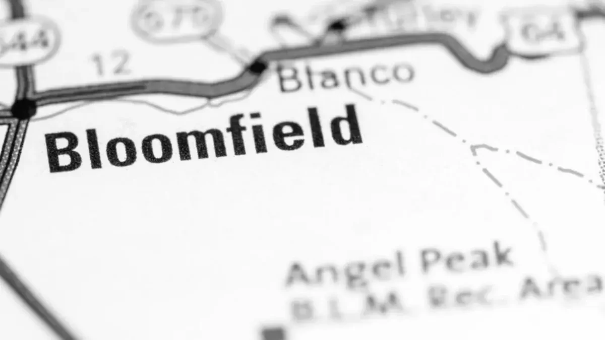 Best Bloomfield Movers Near Me Premium Moving Companies