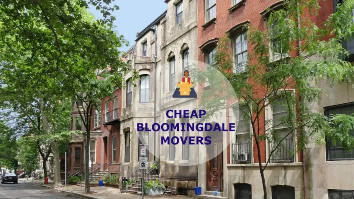 Best Bloomingdale Movers Near Me – Premium Bloomingdale, IL Moving Companies