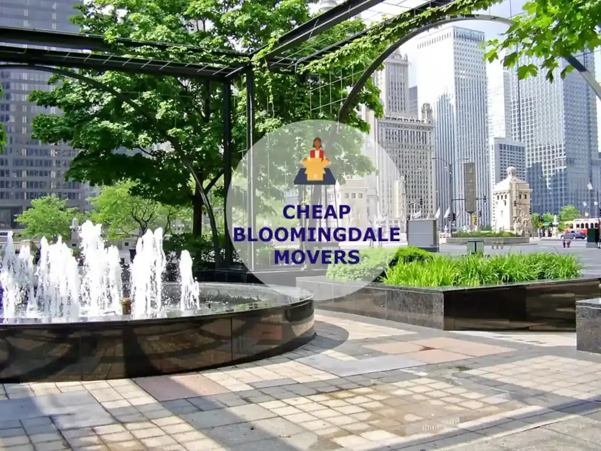 Best Bloomingdale Movers Near Me – Premium Bloomingdale, TN Moving Companies