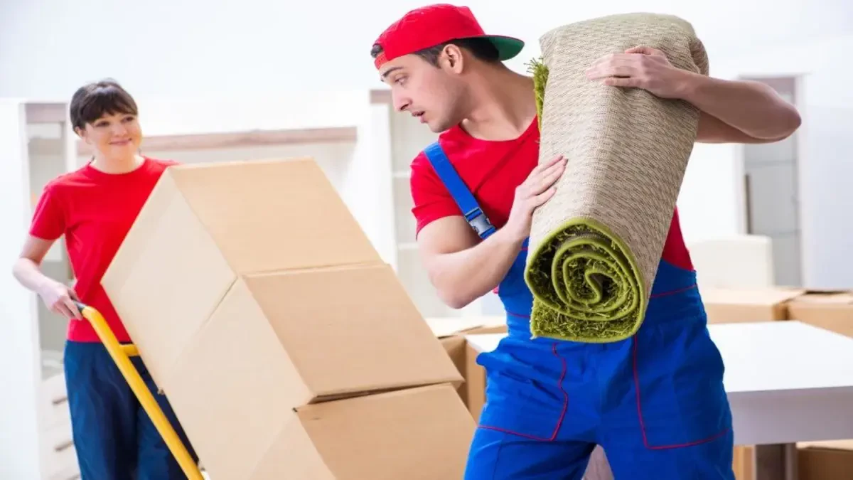 Best Blue Ridge Movers Near Me – Premium Blue Ridge, VA Moving Companies