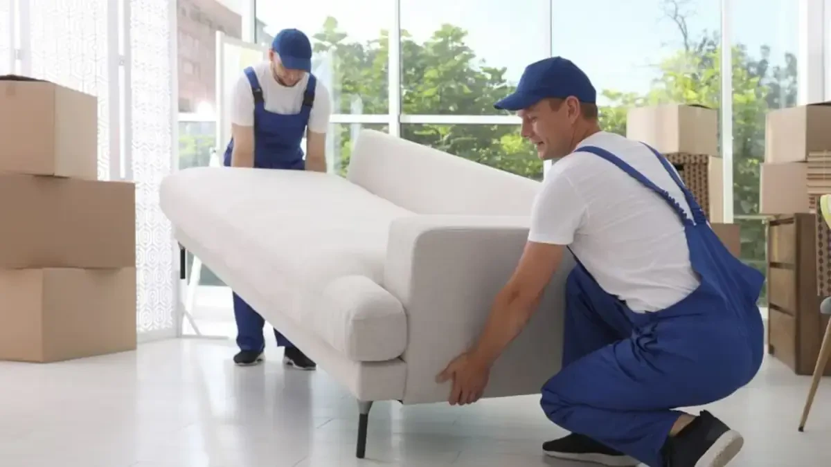 Best Boone County Movers Near Me – Premium Boone County, KY Moving Companies