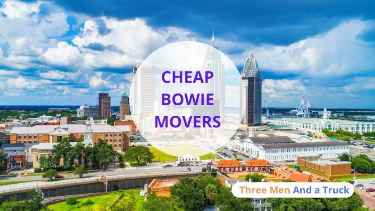Best Bowie Movers Near Me Premium Moving Companies