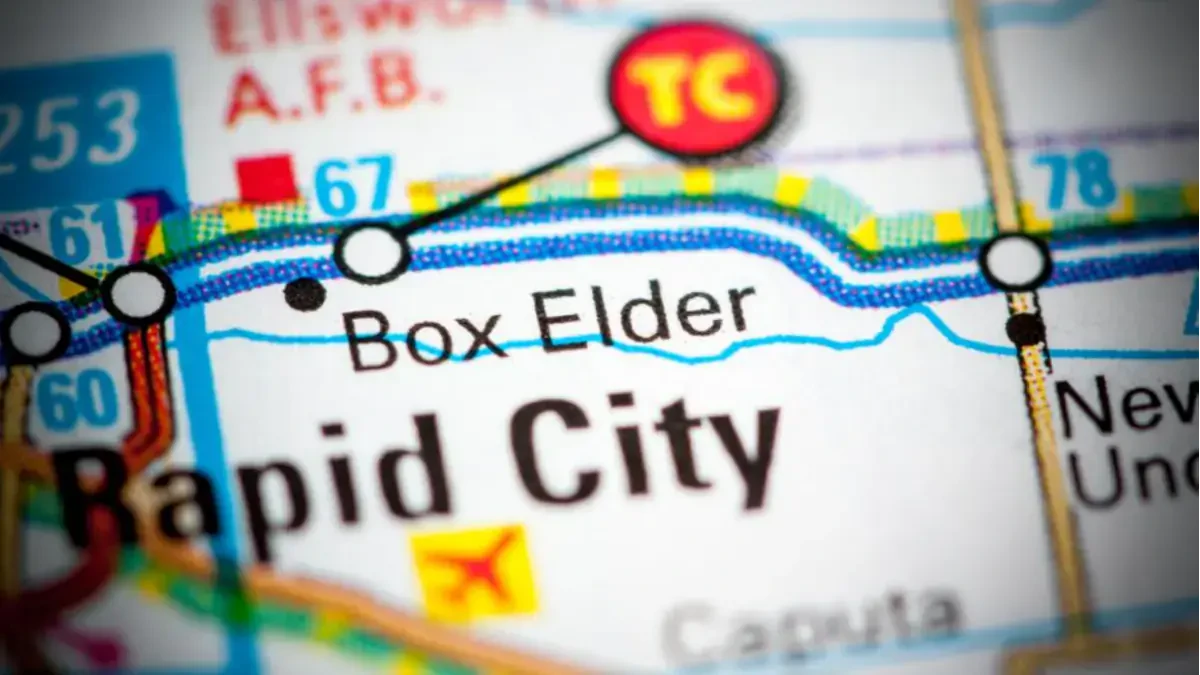 Best Box Elder Movers Near Me With Premium Moving Companies